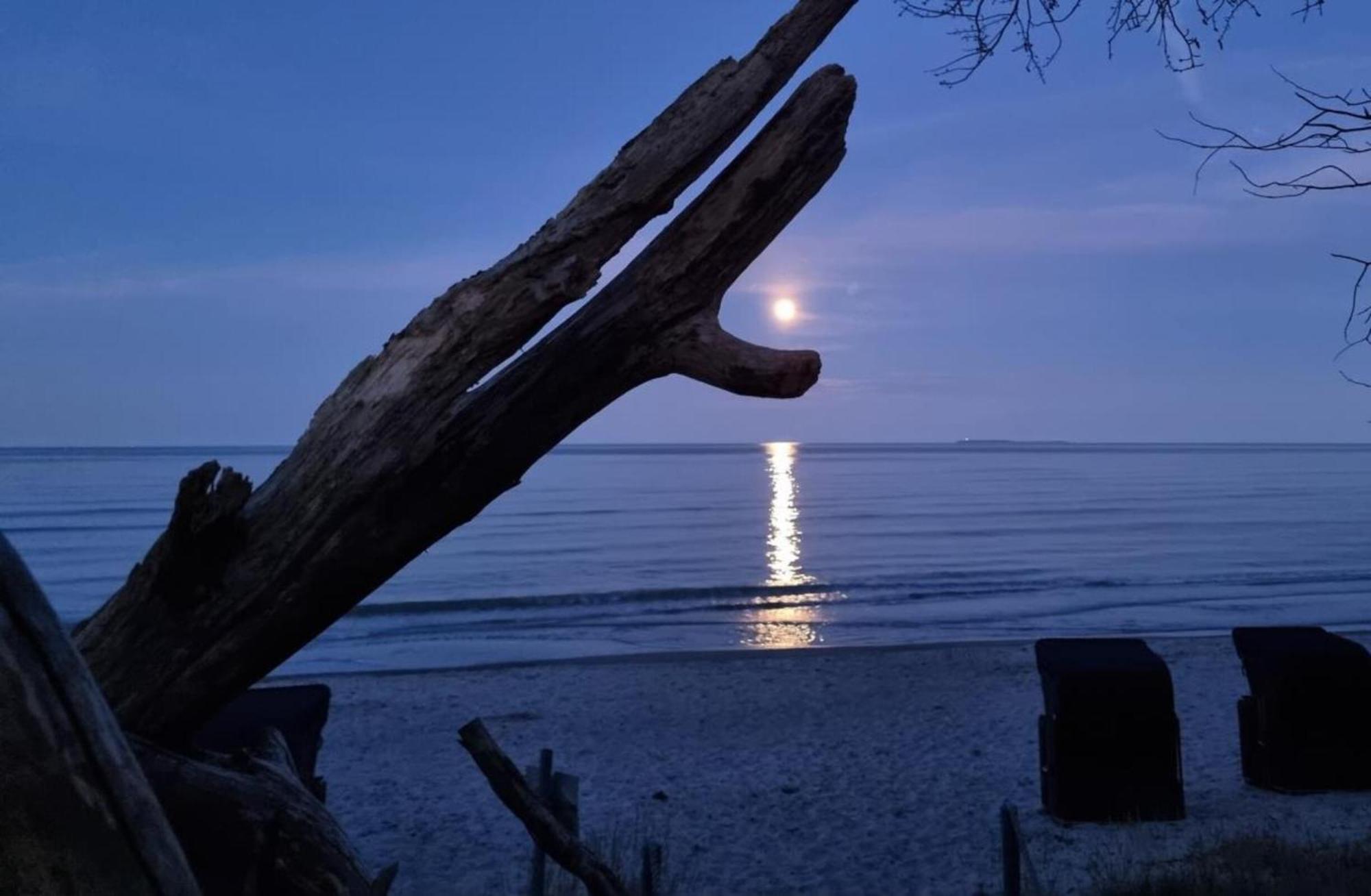 Traumhaftes Appartement - Odins Blick Wohnung 13 , Sauna Und Privatstrand, Blick Zur Ostsee Lobbe Eksteriør bilde